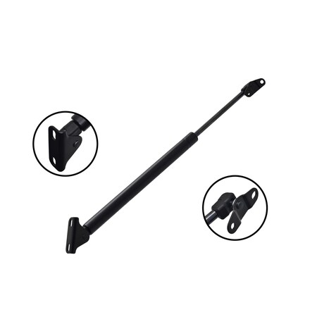 Fcs Struts Lift Support Liftgate, 84598 84598